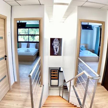 Nouvelle Maison T4 Ovalie Proche Centre Διαμέρισμα